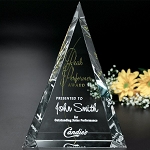 Palisade Award 10